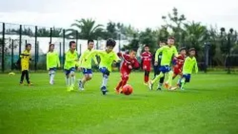 ABG欧博 产品 025657 bab