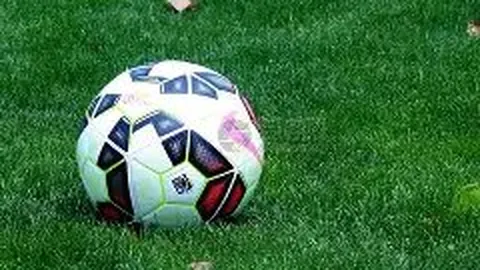 夏日激情，哈马2025璀璨启幕——哈尔滨马拉松激情奔跑